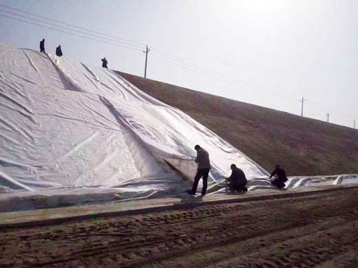 山東聯(lián)諾工程材料有限公司,土工膜廠家